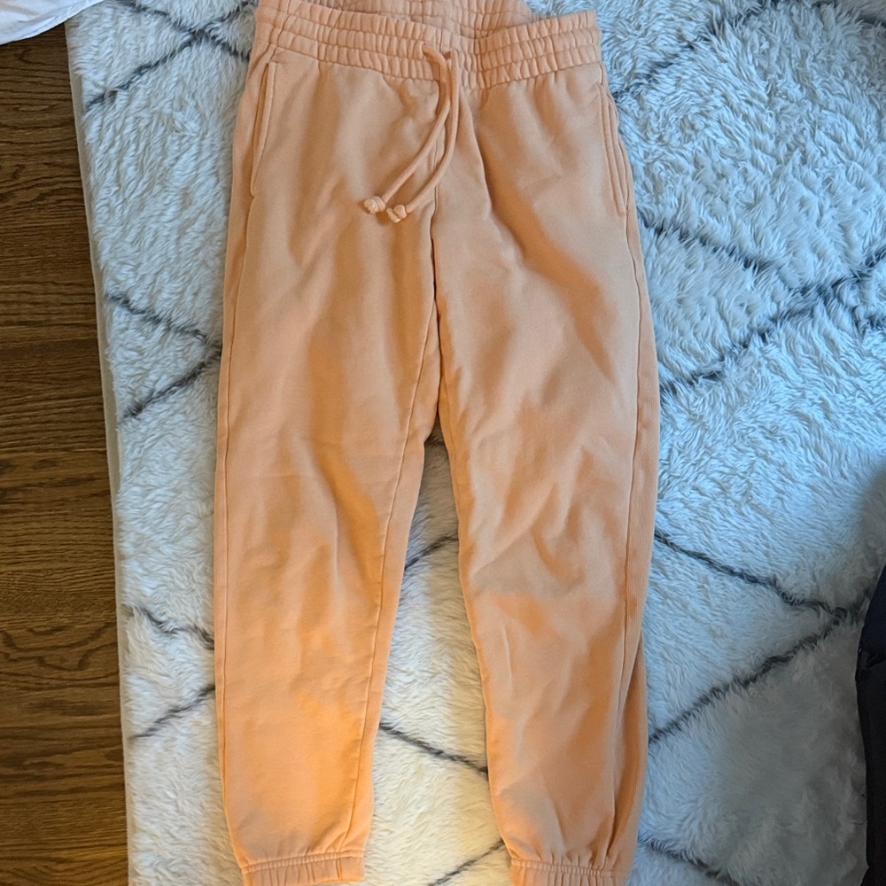 Aritzia TNA Peach Jogger Pants